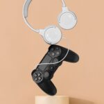 Controllers & Accessories